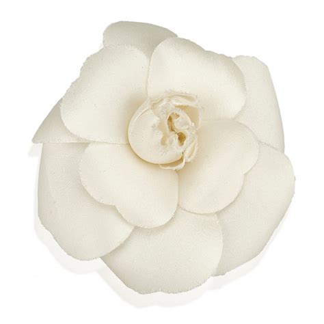 chanel camelia bianca|Camellias .